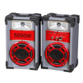 Professional Mutimedia Stage Speaker P6 with Competitive Price